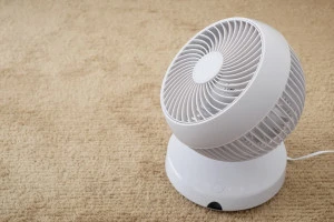 サーキュレーターの写真