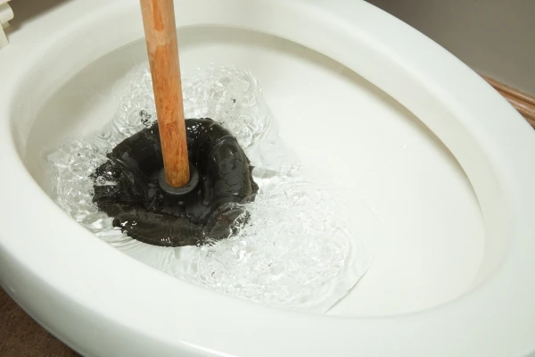 トイレにラバーカップを使用している様子
