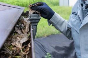 雨樋に溜まったゴミ(枯れ葉)を清掃する作業員の写真