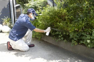 厄介なヤスデの駆除方法とは 具体的なやり方や効果的な予防策について Eparkくらしのレスキュー 厄介なヤスデの駆除方法とは 具体的なやり方や効果的な予防策について Eparkくらしのレスキュー