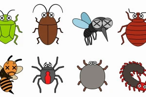 駆除された害虫のイラスト