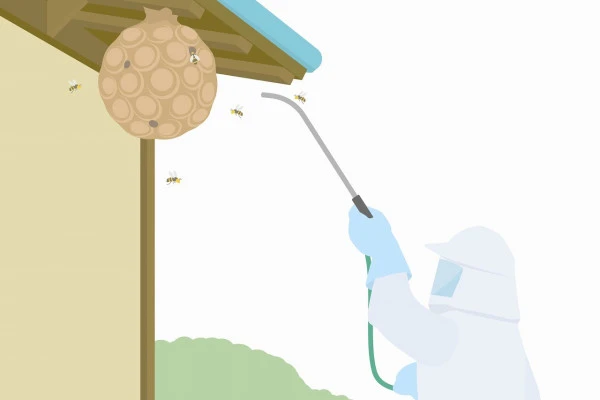 スズメバチの巣を駆除しているようすのイラスト