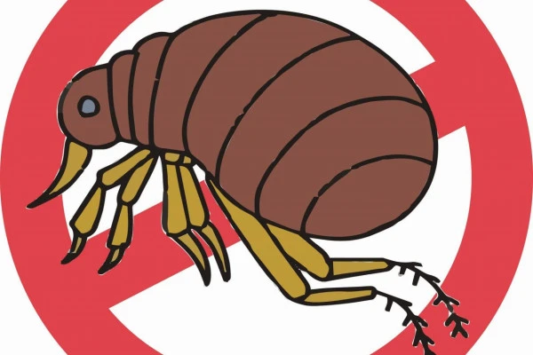 ノミ禁止マークのイラスト