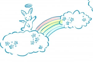 ペットのお見送りのイメージ画像