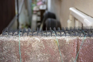 ブロック塀に設置された鳩よけ・猫よけのトゲトゲマット（糞害対策）の写真