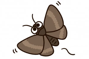 メイガのイラスト