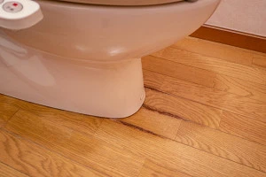 水で濡れているトイレの床の写真