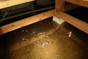 床下浸水の写真