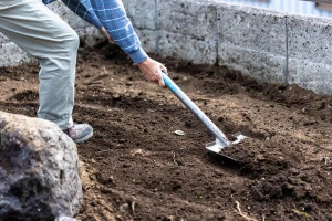 庭で伐根作業を行う様子
