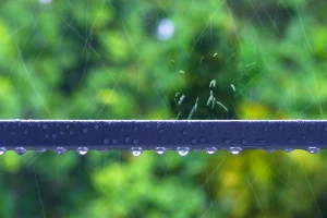 雨水が滴る手すりの写真