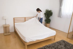 マットレスに潜むダニに注意!正しい駆除方法や予防法を紹介します| EPARKくらしのレスキュー