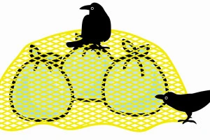 ゴミ捨て場に設置された防鳥ネットとカラスのイラスト
