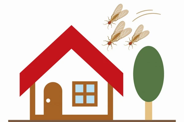 住宅に向けて飛んでくる羽蟻のイラスト