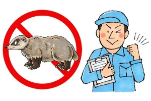 アナグマ駆除業者のイメージ画像
