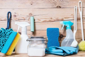 掃除に使う道具の写真