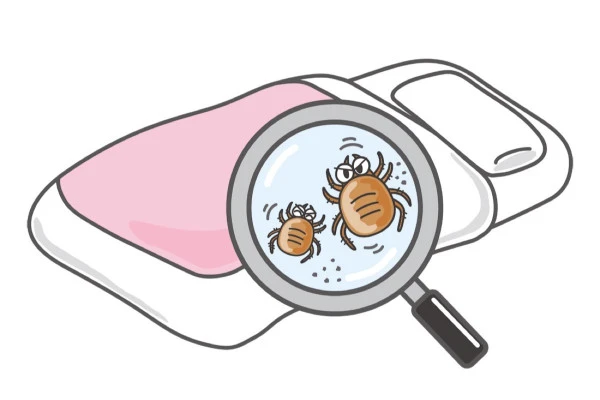 布団に潜む複数のダニを描いたイラスト