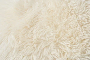 ふわふわした生地の写真