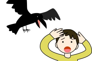 カラスに襲われる人のイラスト