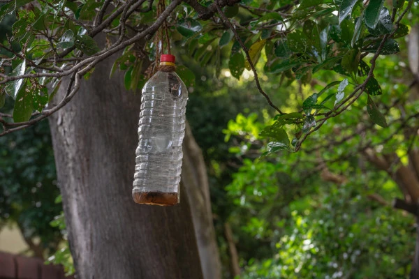 木につるされた木酢液の写真