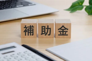 補助金と書かれたブロックの写真