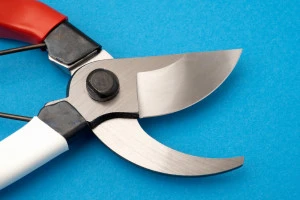 剪定ばさみの写真