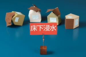 床下浸水によりダメージを受けている家の模型の画像