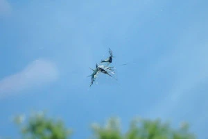 自動車のフロントガラスの飛び石による傷の写真