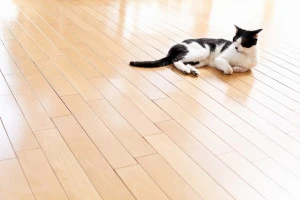 床暖房の上で寝転ぶ猫の写真