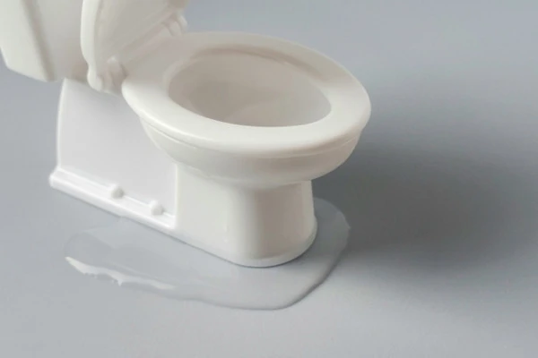 トイレの床が水漏れしている様子