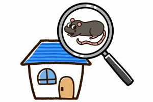 ドブネズミのいる住宅のイラスト