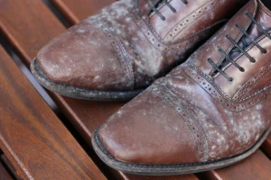 カビの生えた革靴の写真