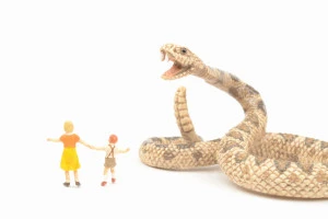 毒ヘビと子供の模型の画像