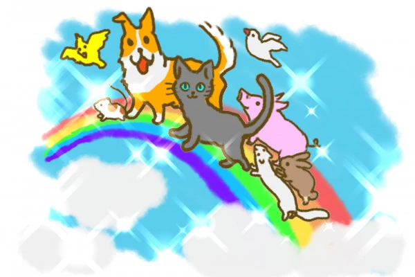 虹の橋を渡るペットたちのイラスト