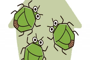 大量発生したカメムシのイラスト