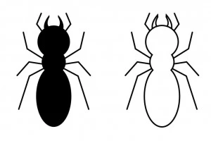 黒蟻とシロアリのイラスト