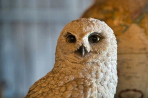 フクロウの置物の写真