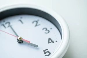 記事スズメバチの活動時間とは?駆除方法や予防方法についてのイメージ画像