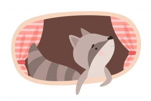 記事アライグマは冬眠しない！冬の習性と正しい駆除・対策方法のイメージ画像