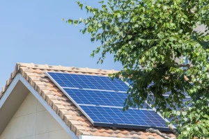 記事自分でできる太陽光パネルの鳩対策！被害を防ぐおすすめの方法を解説のイメージ画像