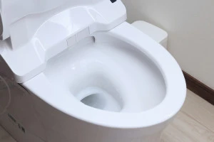 記事《水が流れない!》トイレが凍結した場合の対処法や防止策などをご紹介しますのイメージ画像