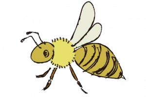 記事蜂の活動時間はいつ?危険な時間帯や駆除を行うのに適した時間帯を解説のイメージ画像