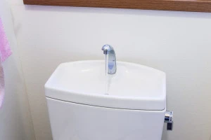 記事トイレタンクのチョロチョロ音が気になる?!音の原因や対処法を解説のイメージ画像