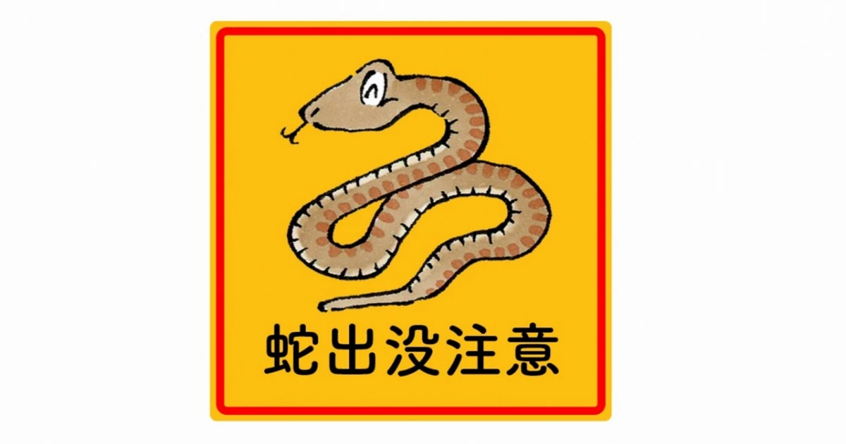 蛇はどこから家に入る？侵入経路と対策方法をわかりやすく解説