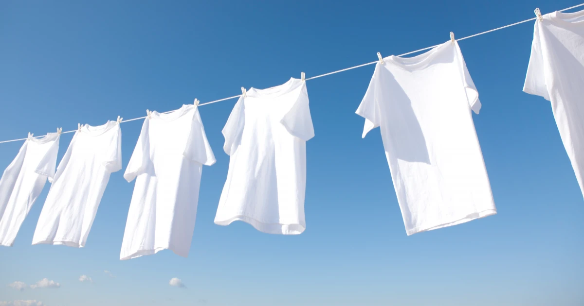 洗濯物に蜂が!蜂が寄ってくる原因や対処・予防方法について解説