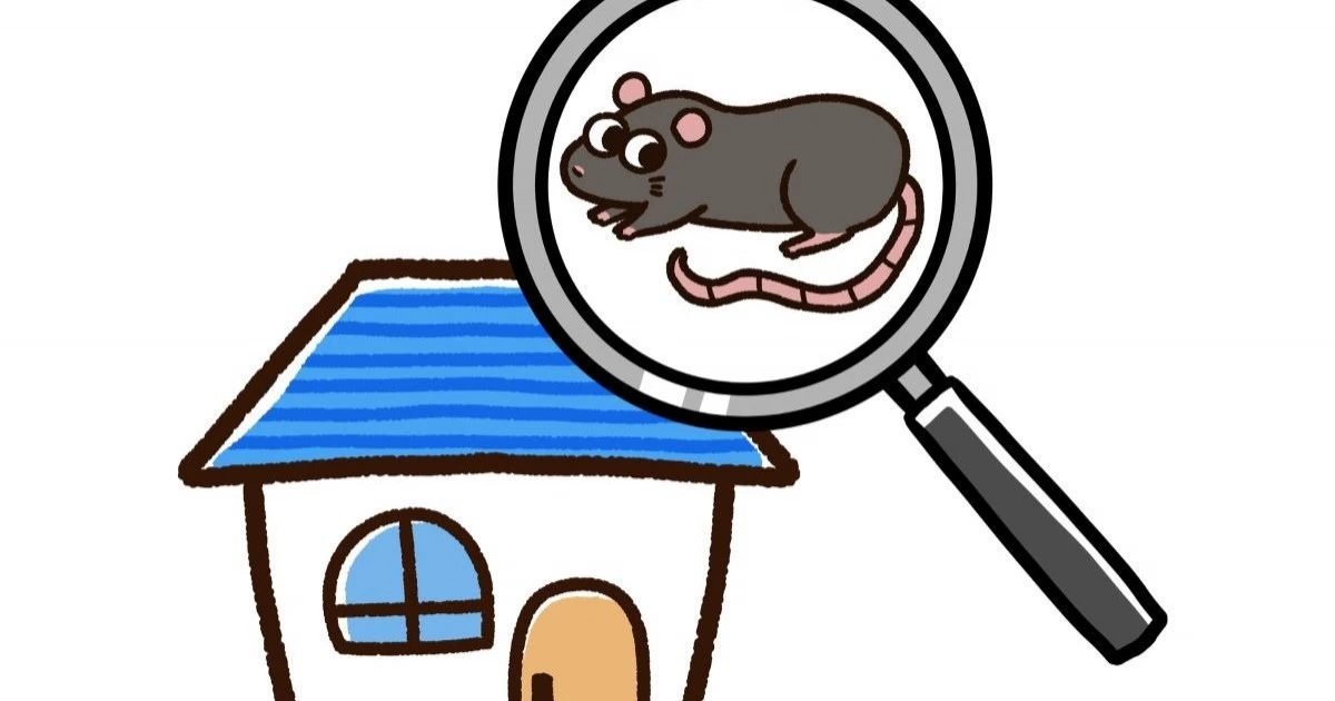 ネズミはどこから家に入る?侵入経路と駆除方法を徹底解説