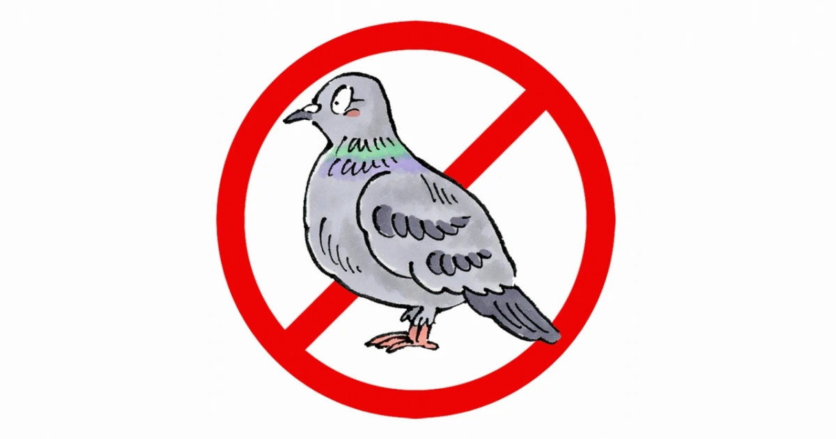 100均でできる鳩対策とは？効果や限界、巣を作られる前にやるべき対策を解説