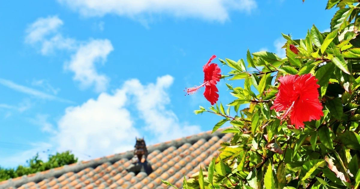 沖縄切手の買取で損しないために｜高額査定の特徴と価値の決まり方・保管方法