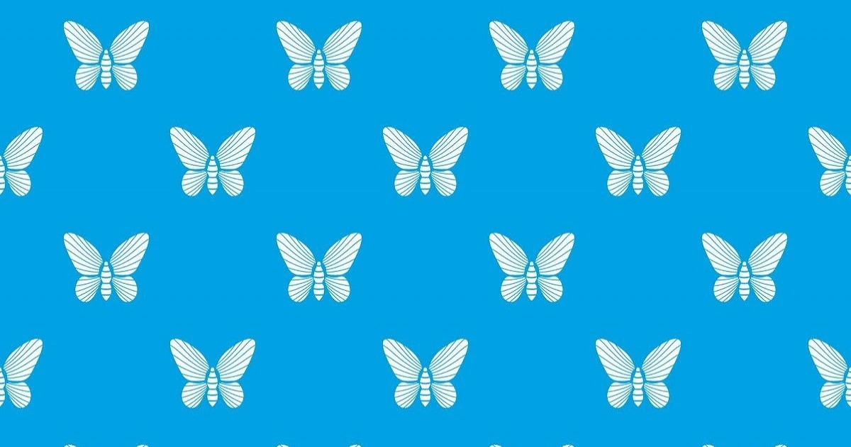家の中で蛾が大量発生したらどうする?予防と対処法を紹介