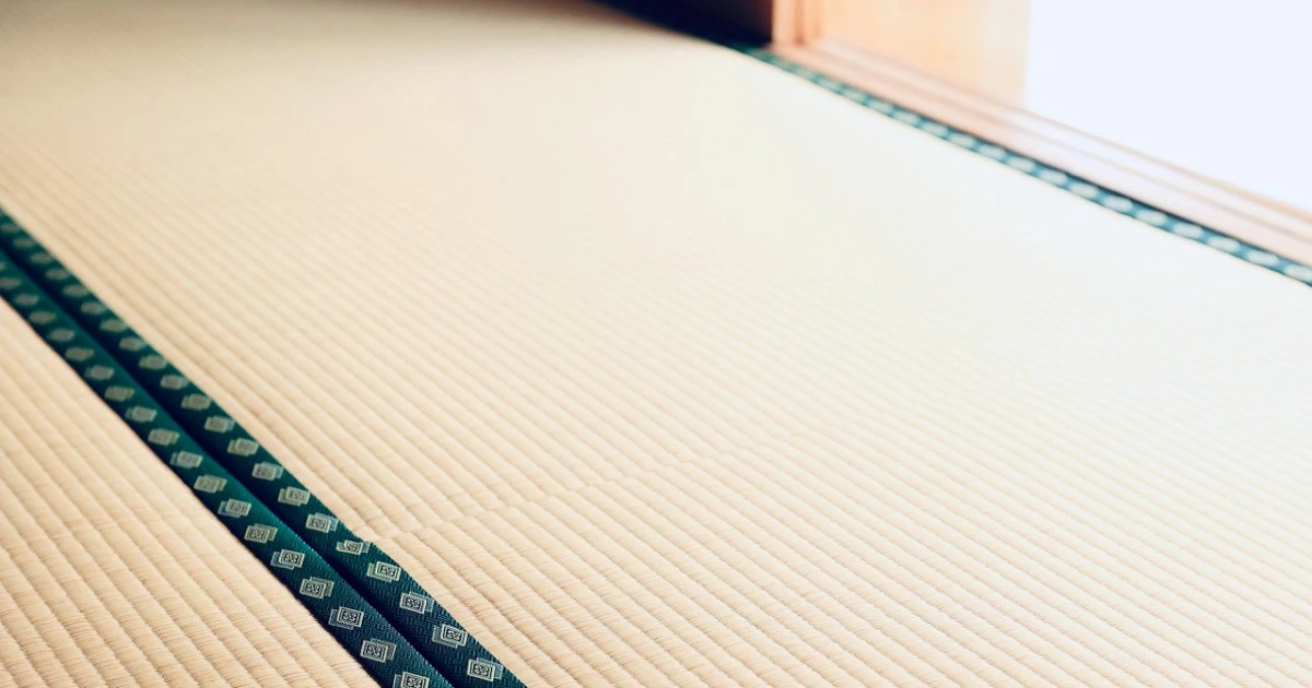 畳に付く虫の駆除方法とは？発生原因と予防対策をわかりやすく解説