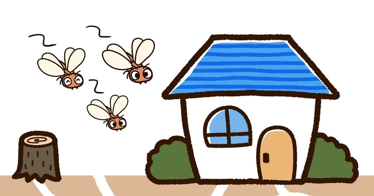 羽アリはどこから入る？家の中に出る原因と侵入経路・対処法を解説